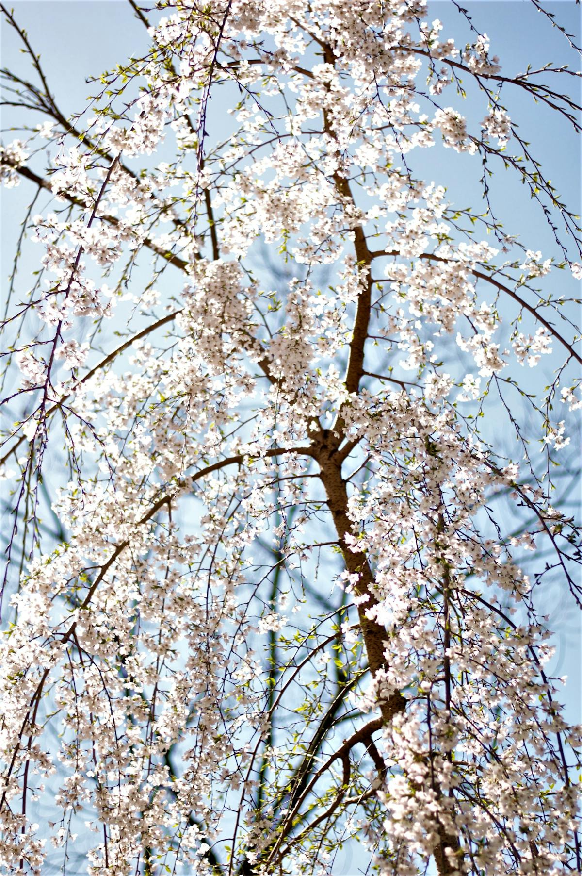 🤯 ¿Tu intestino está de fiesta sin invitarte? 🍴