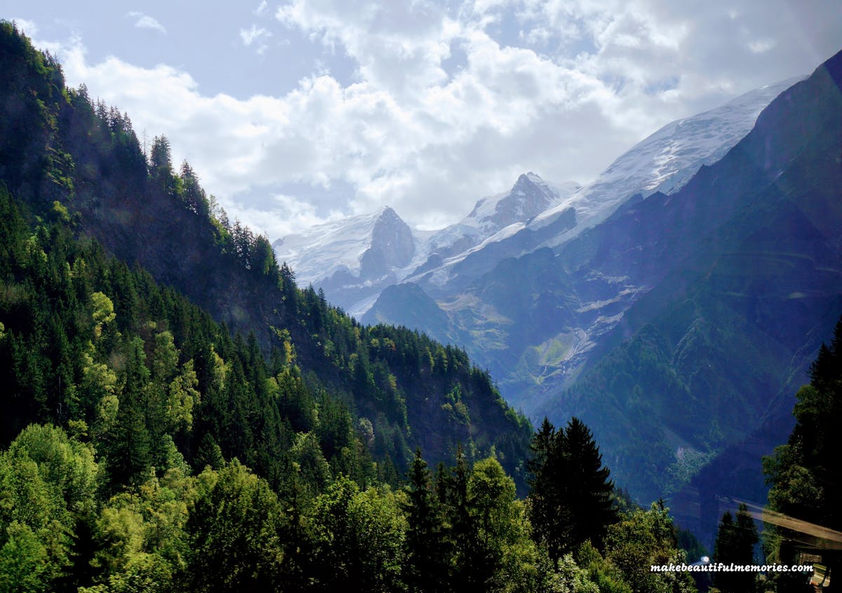 🏠 ¿Las Panaderías de la Vida o la Muerte del Comercio Tradicio...