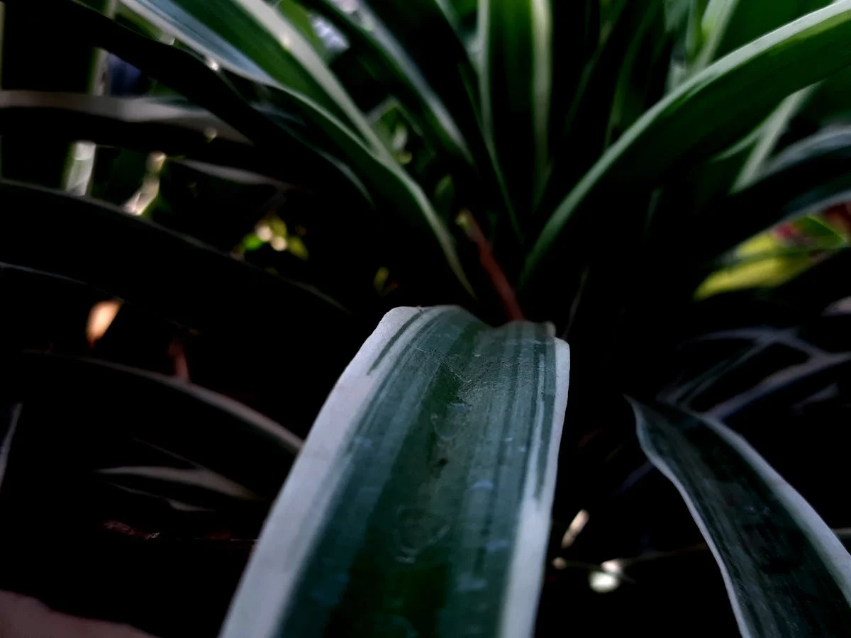 🚨 ¿Qué Pasará con la Competitividad de Andalucía si No Impleme...