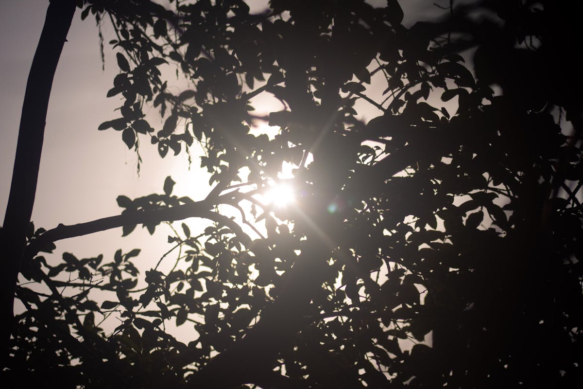 ¿Eres un Gamer de Fútbol o solo Chateas sobre el Partido?<...