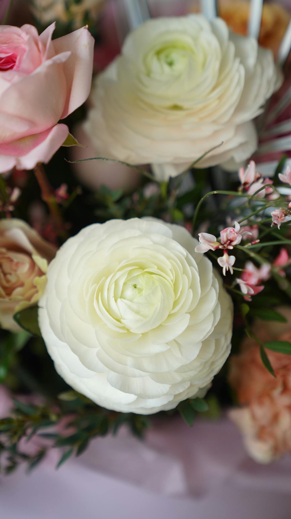 No te pases de la cuenta: ¿Cuánto te cuesta jugar a la Liga ...