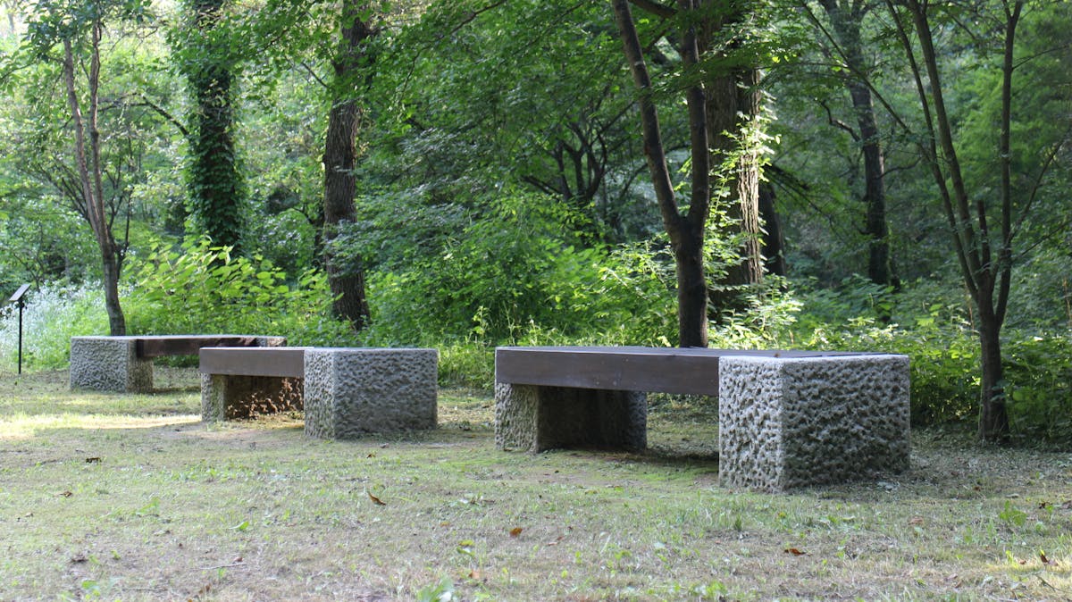 ¿Crees que el cambio de horario es un Red Flag para tu via...