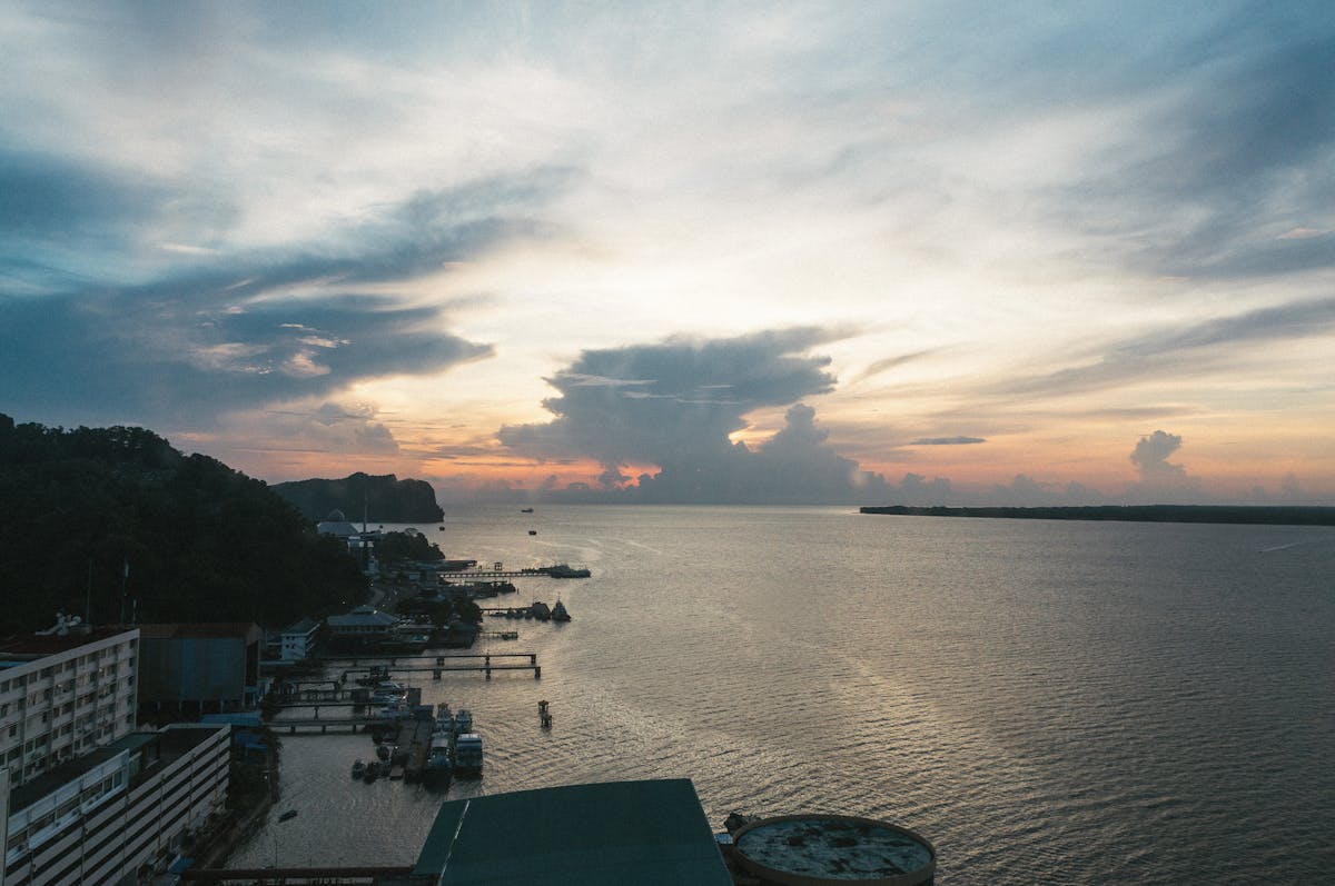 🚨 ¿La crisis de los chips y la degradación del clima son solo ...