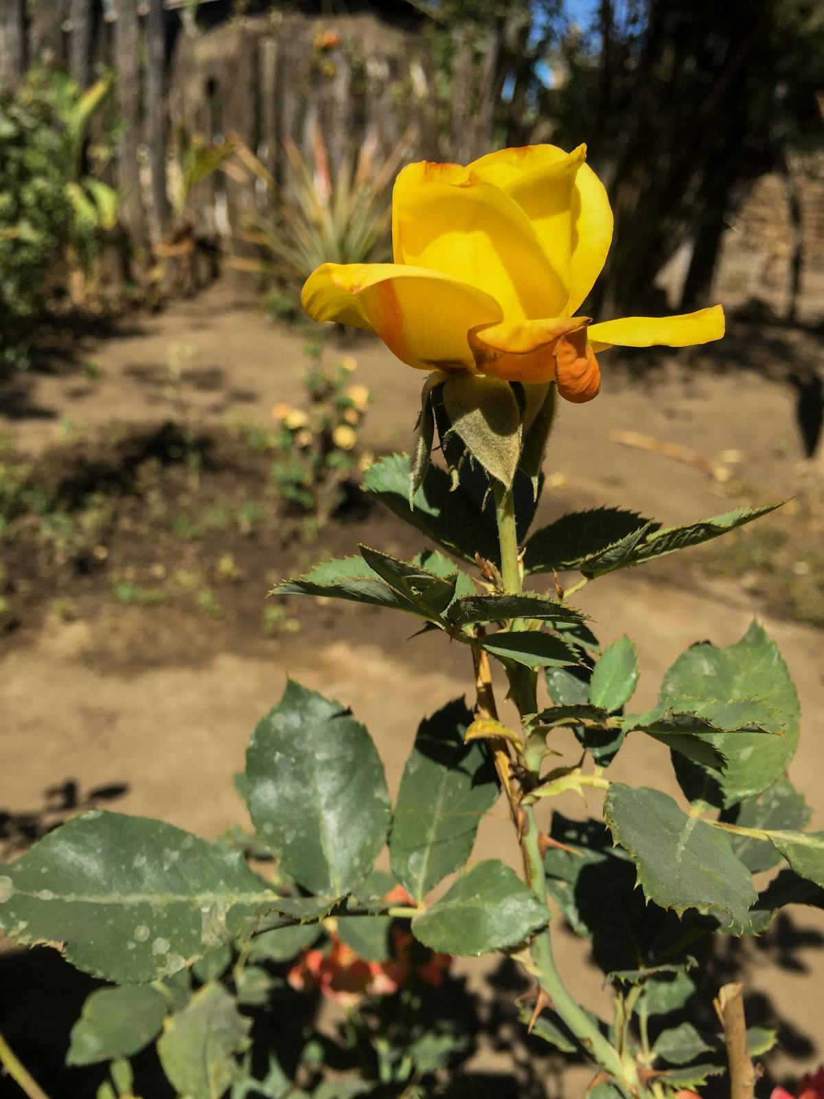 ¿Quién es el rey de los MVP en #Laliga? 🤯