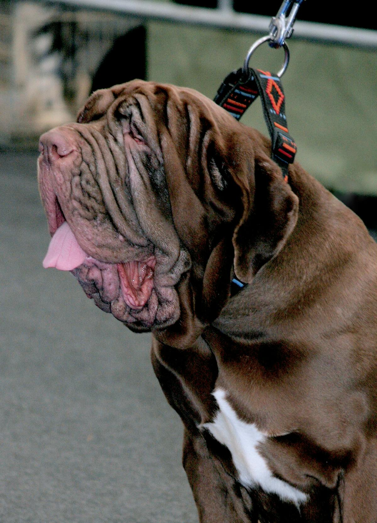 📣 ¿Tu empresa está lista para la revolución digital HOY?