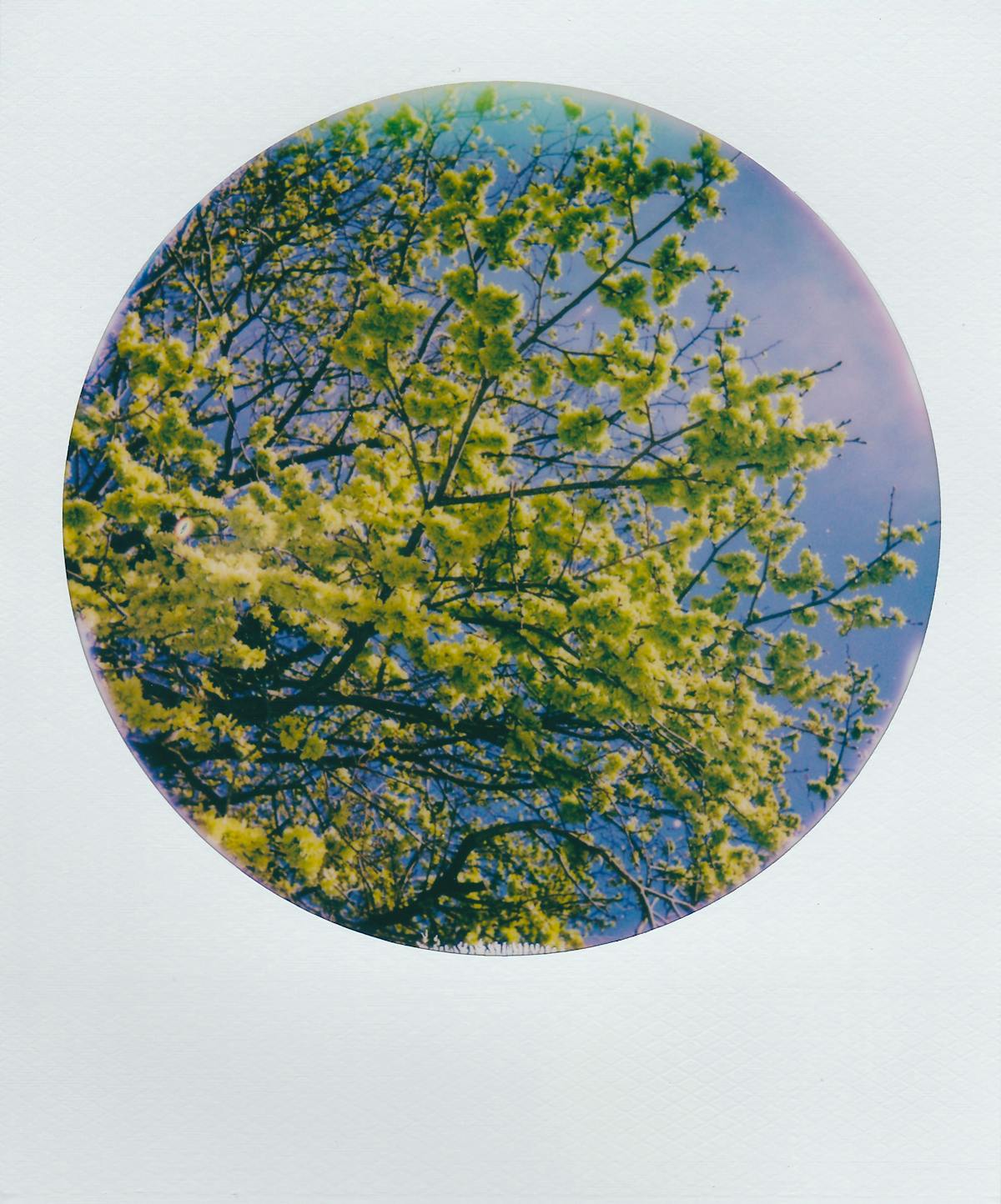 ¿Qué Más Demos a Canadá? 🔔 India y Canadá se Acoplan por los V...