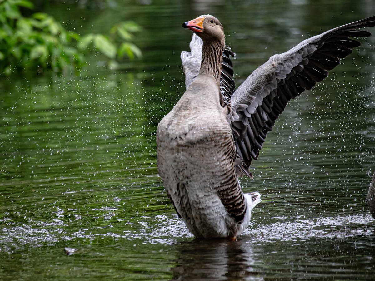 😂 ¿Las Clases de la Provincia de BA se Aprenderán a Distan...