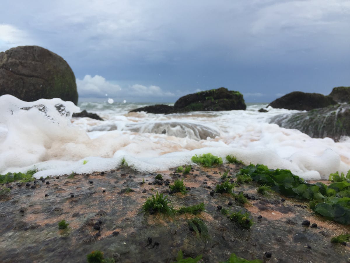¡Esto es oro! 🚩 ¿Qué hay detrás de la nueva f...