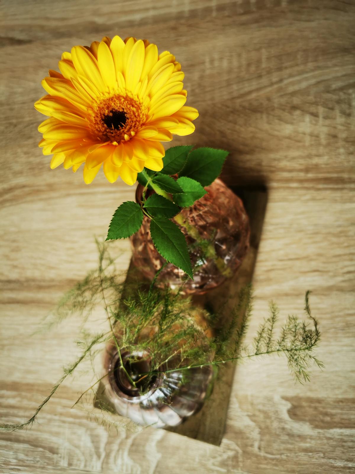 ¡Gianni Infantino le pide a Claudia Sheinbaum que no les queme...