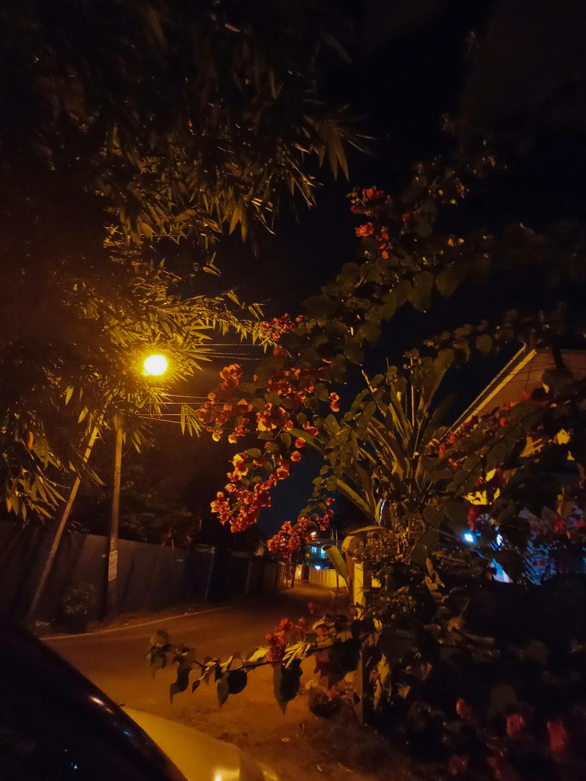 ¿Te Llevas Al Corte de la Pasarela o a la Ruta de los Desa...