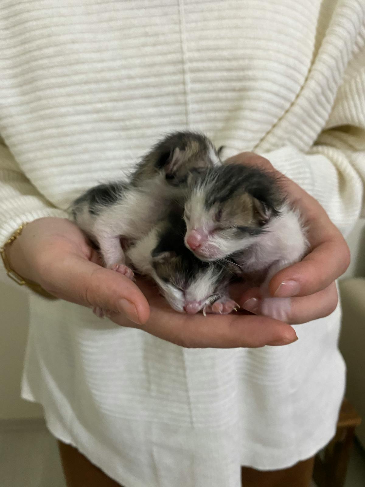 ¡Voces de Mujeres! ¿Sabias que el 99% de las Canciones Son...