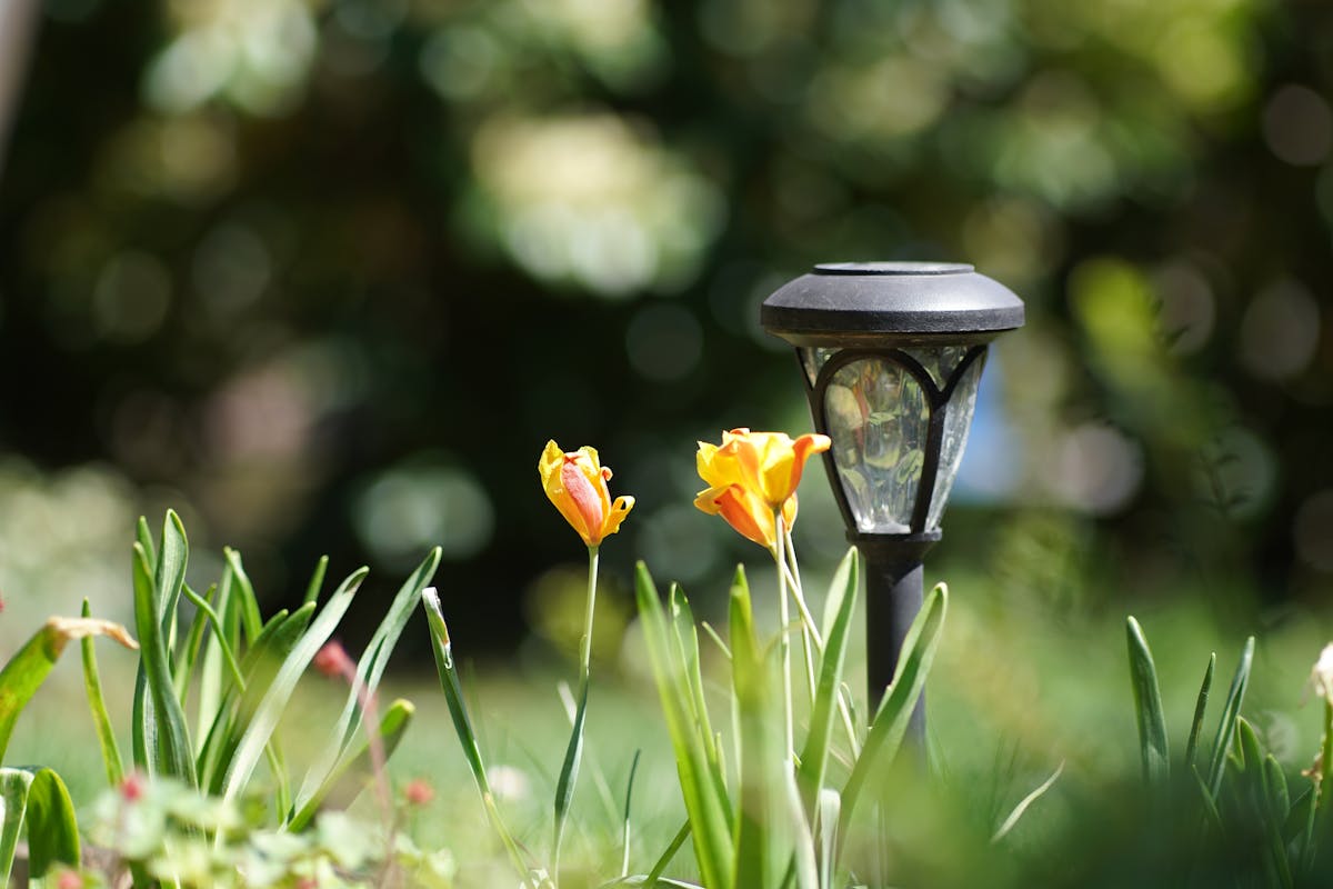 ¡SUBA DE PRECIOS ENFRENADA al Consumidor Mexicano! 🚨 ¿Qué pasa...