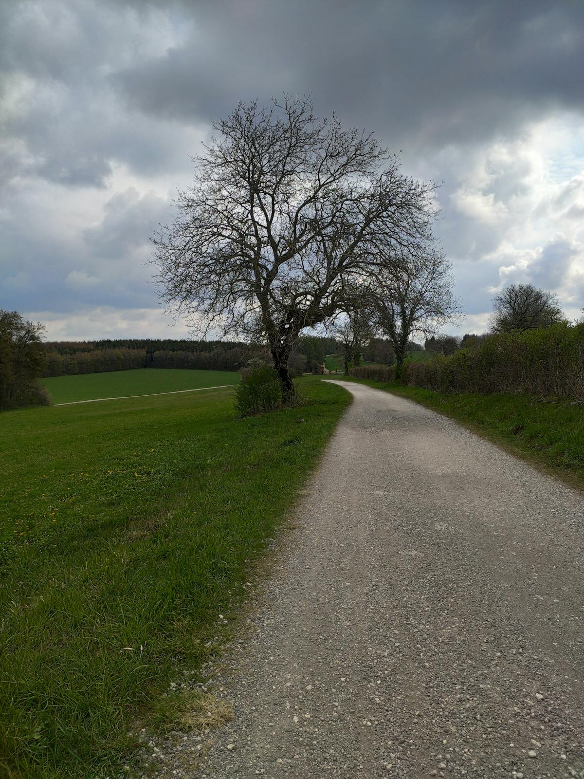🤯 No Te Pases de los Gastos Médicos: ¿La Nueva Droga para ...