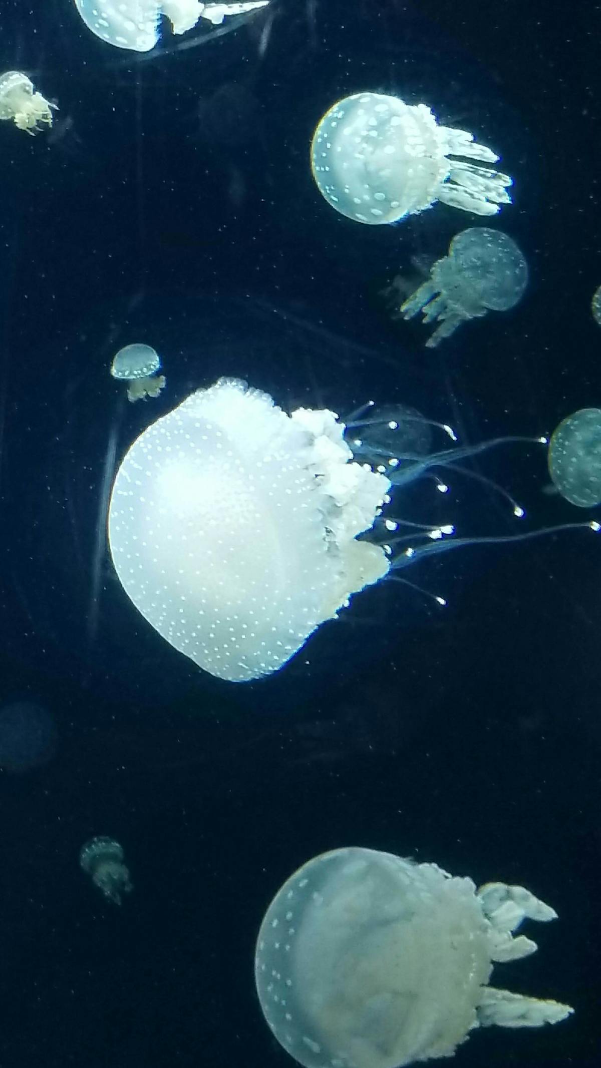 🤔 ¿Tú sabes qué es la coherencia epistemológica en un proyecto...