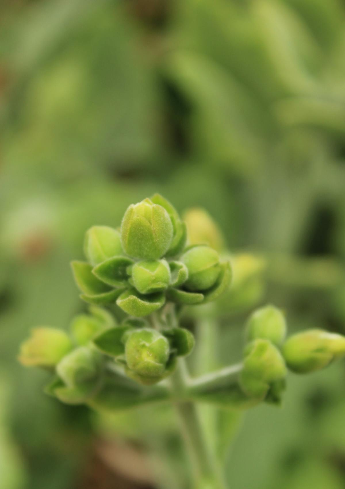 ¿La UES Tiene Consejos o Solo Se Ríen de los Problemas? 💀