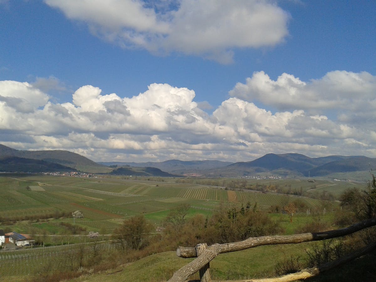 💸 ¿El Cabildo de La Paz: ¿$1.5 Mil Millones o el Precio de la ...