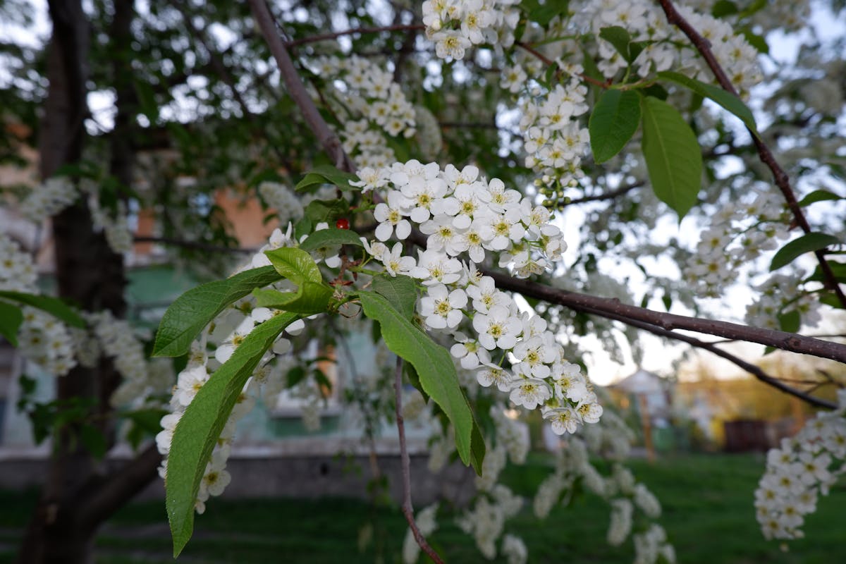 ¿Eres Un Granito de Arena o una Fuerza Natural en la Sala ...