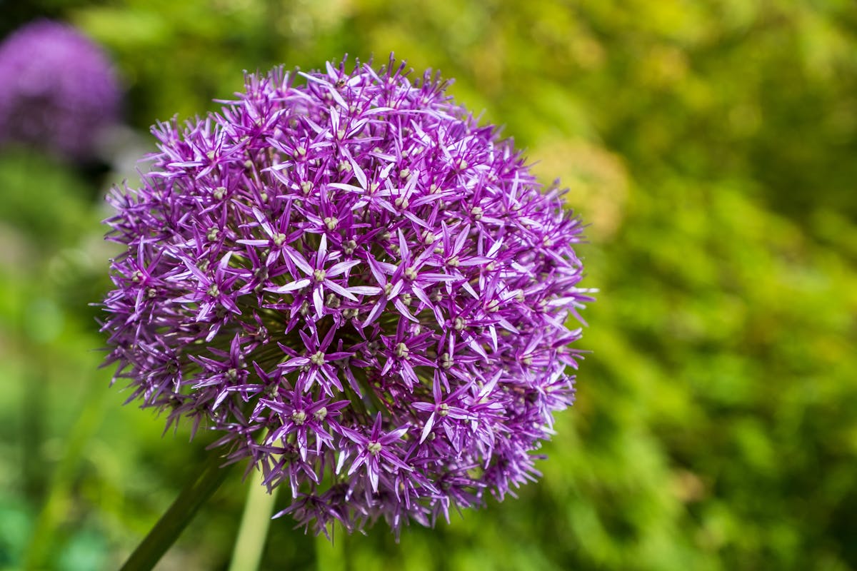 ¿Te Vas a Perder la Hora del Siglo? Concierto de Éxitos en B...