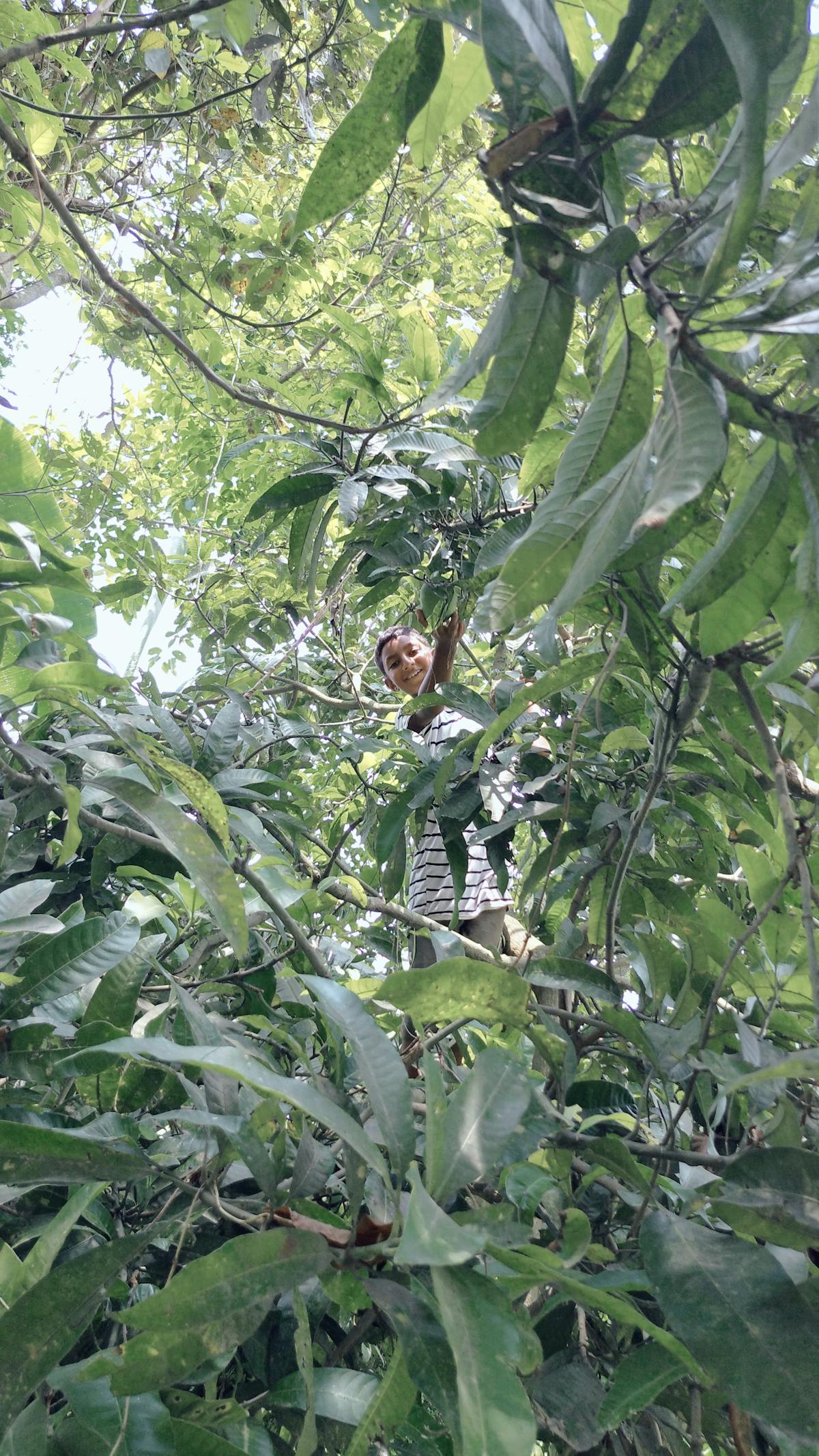 👞 ¿Llevo Loafers o Me Quedo con los Zapatos de Cuero?