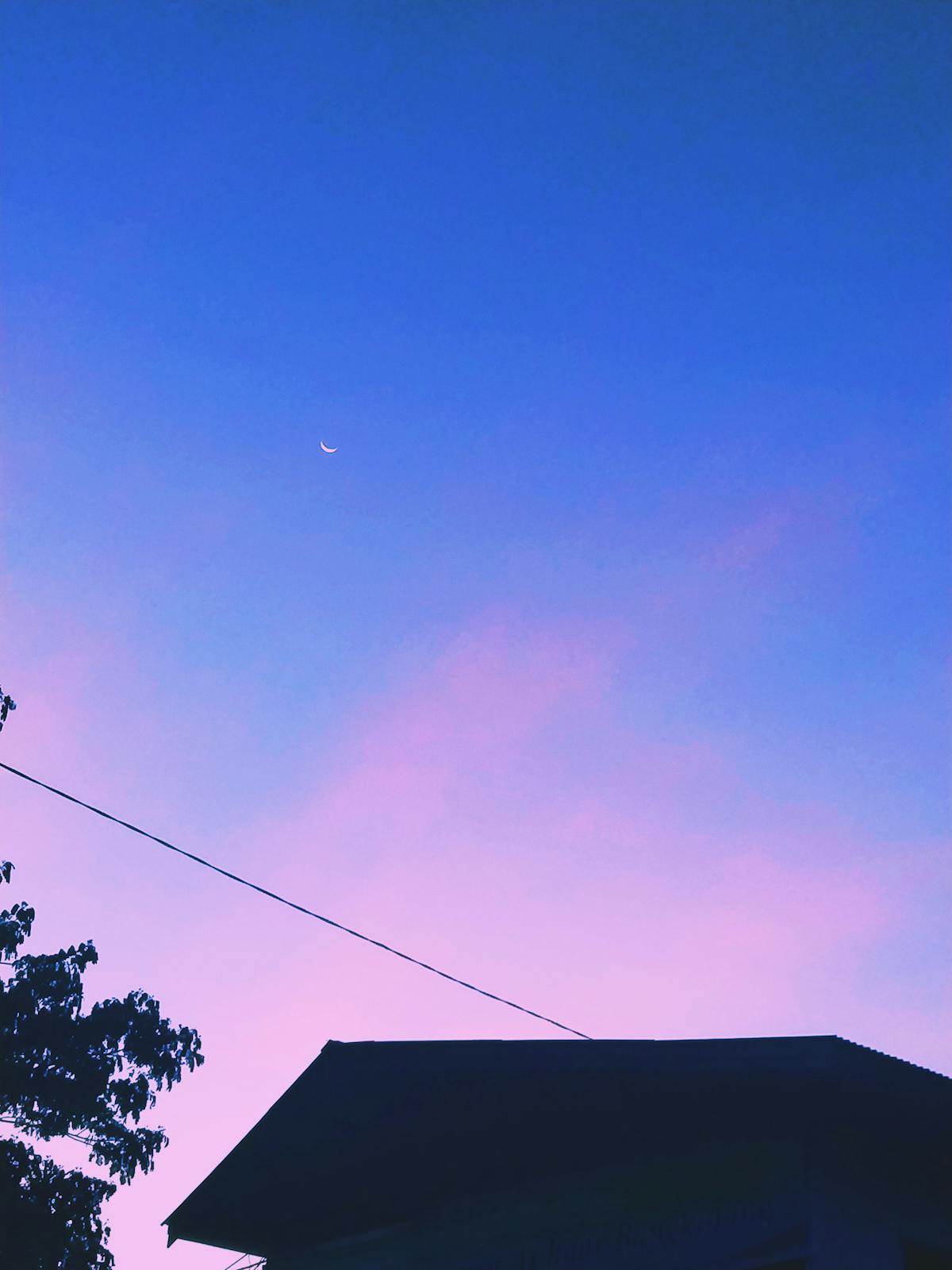 Esto es oro: ¿La Ciberseguridad de Bahía Blanca fue un chi...