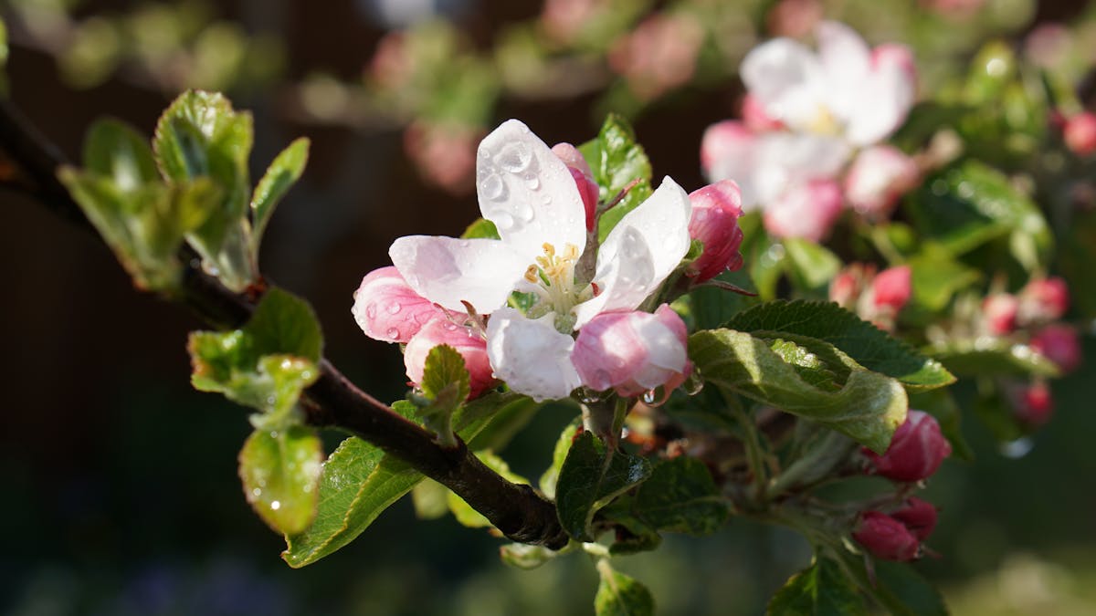 ¿La ONU logró algo de verdad o solo hizo ruido? 🤔