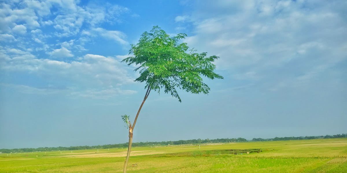 ¿La aceleración es la verdadera velocidad? 🚗