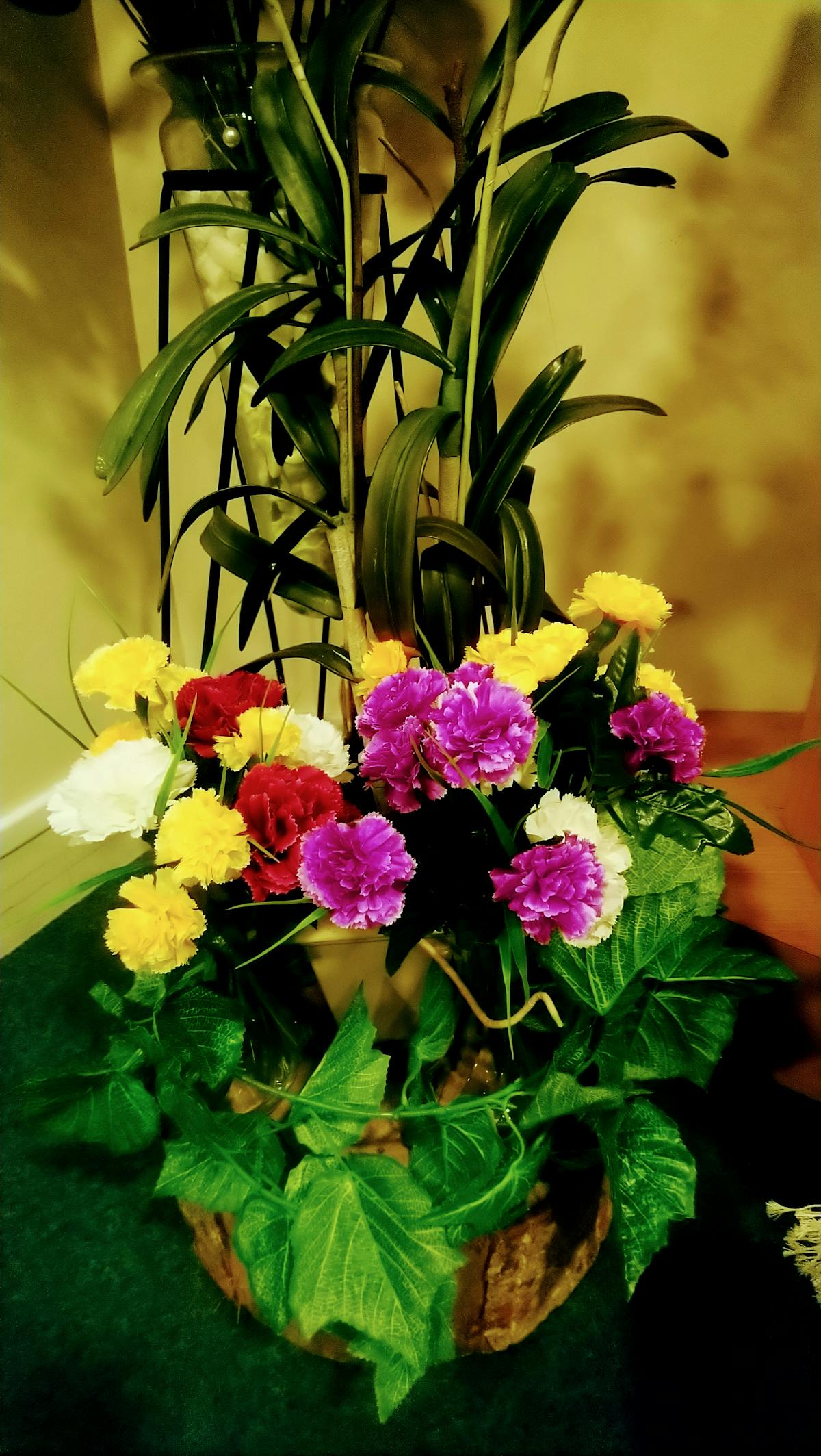 🚨 ¡Se Moviliza el Pueblo! ¿Colombia Sigue siendo Democrática?