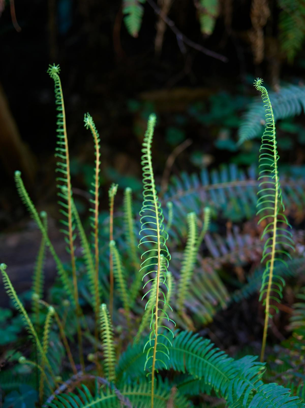 ¿La zona norte se vuelve el El Barrio de la propiedad inmo...