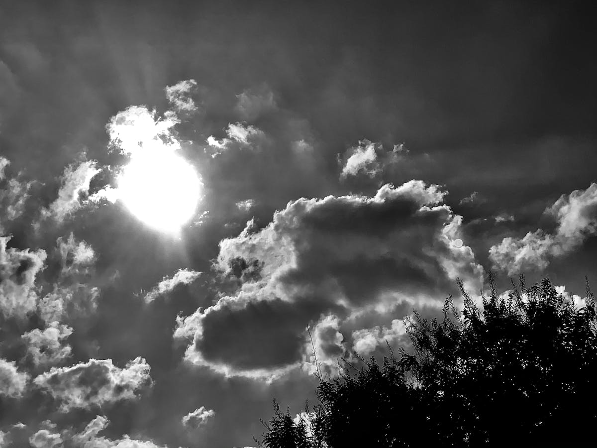 Flashback: ¿Inmigrantes ilegales son ahora expertos en eva...