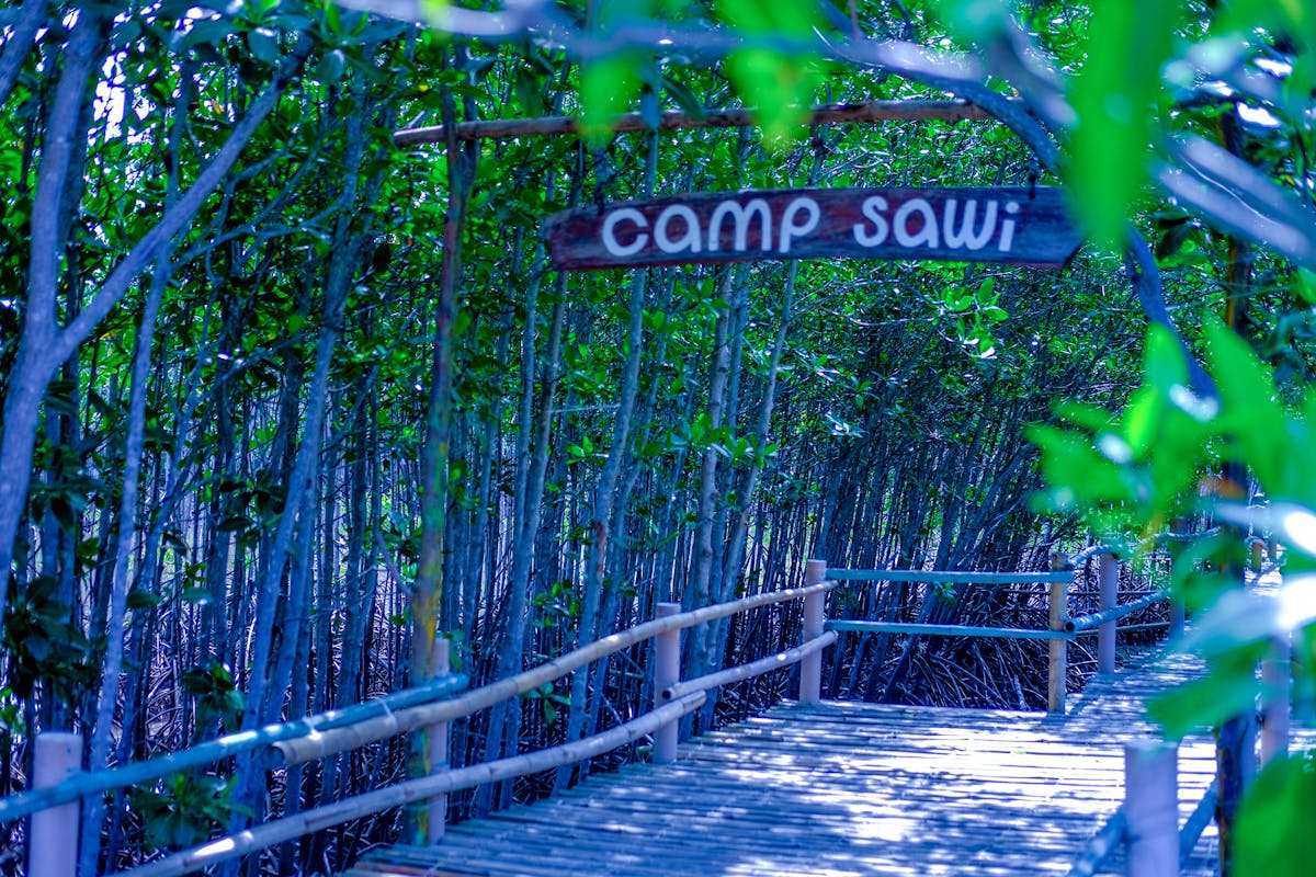 🤦‍♀️ ¿Caída de un diosa o de una tonta? La verdadera razón de ...