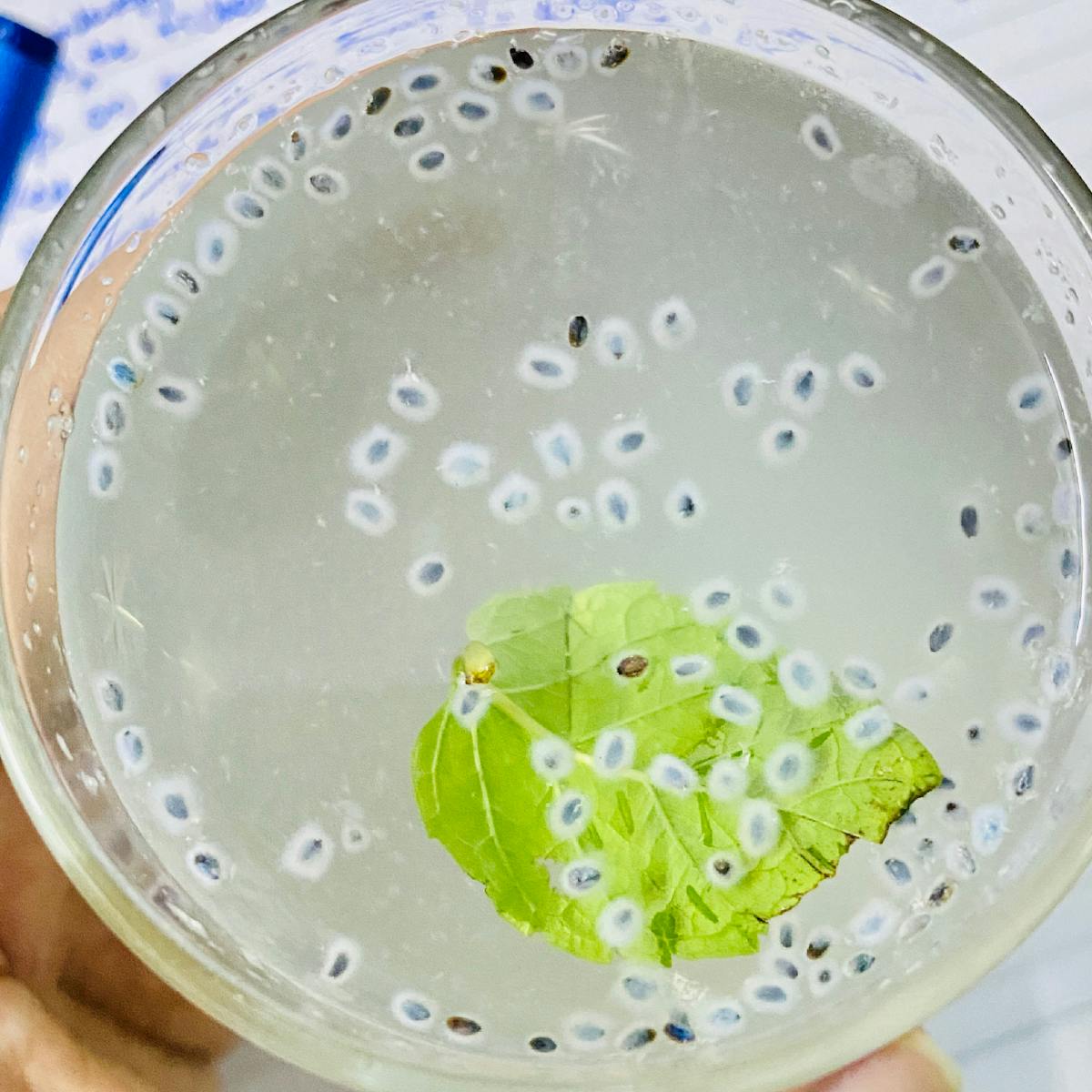 🤔 ¿Los campesinos de Sucre tienen más poder que la gente de la...