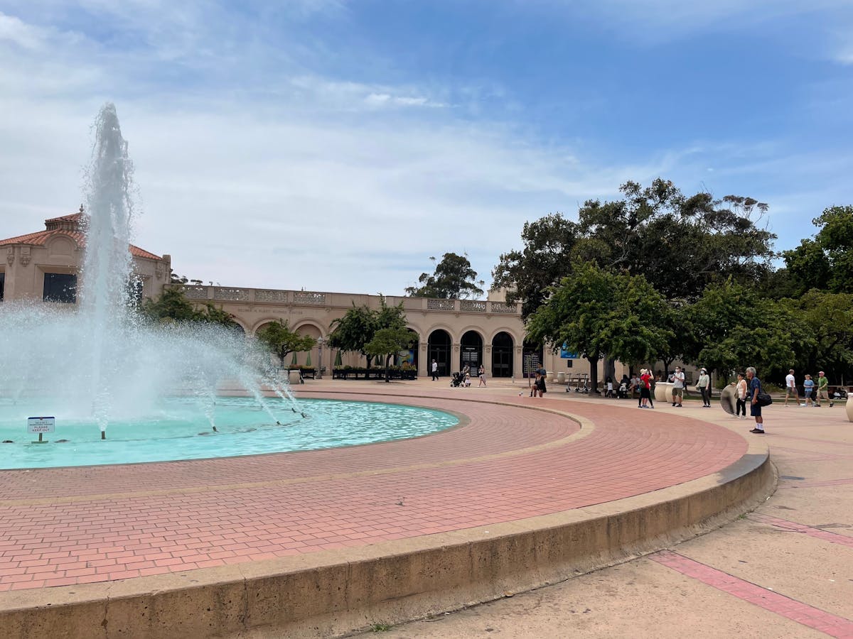 ¿Qué Lealtad? Sheinbaum Encabeza Marcha en DPC con Paola Rojas 🚫