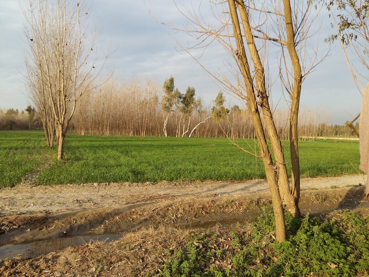 ¿Dejan de ser solteronas las que dan consejos o solo les p...