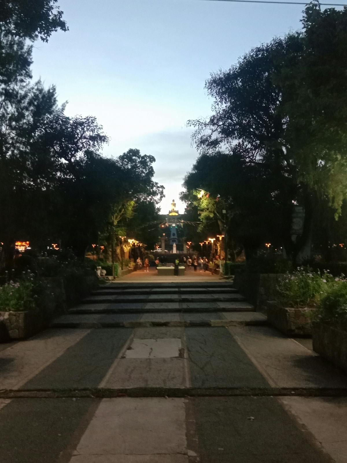 🚩 Ley Seca por Elecciones: ¿Te Pasa o Es Solo Bogotá?