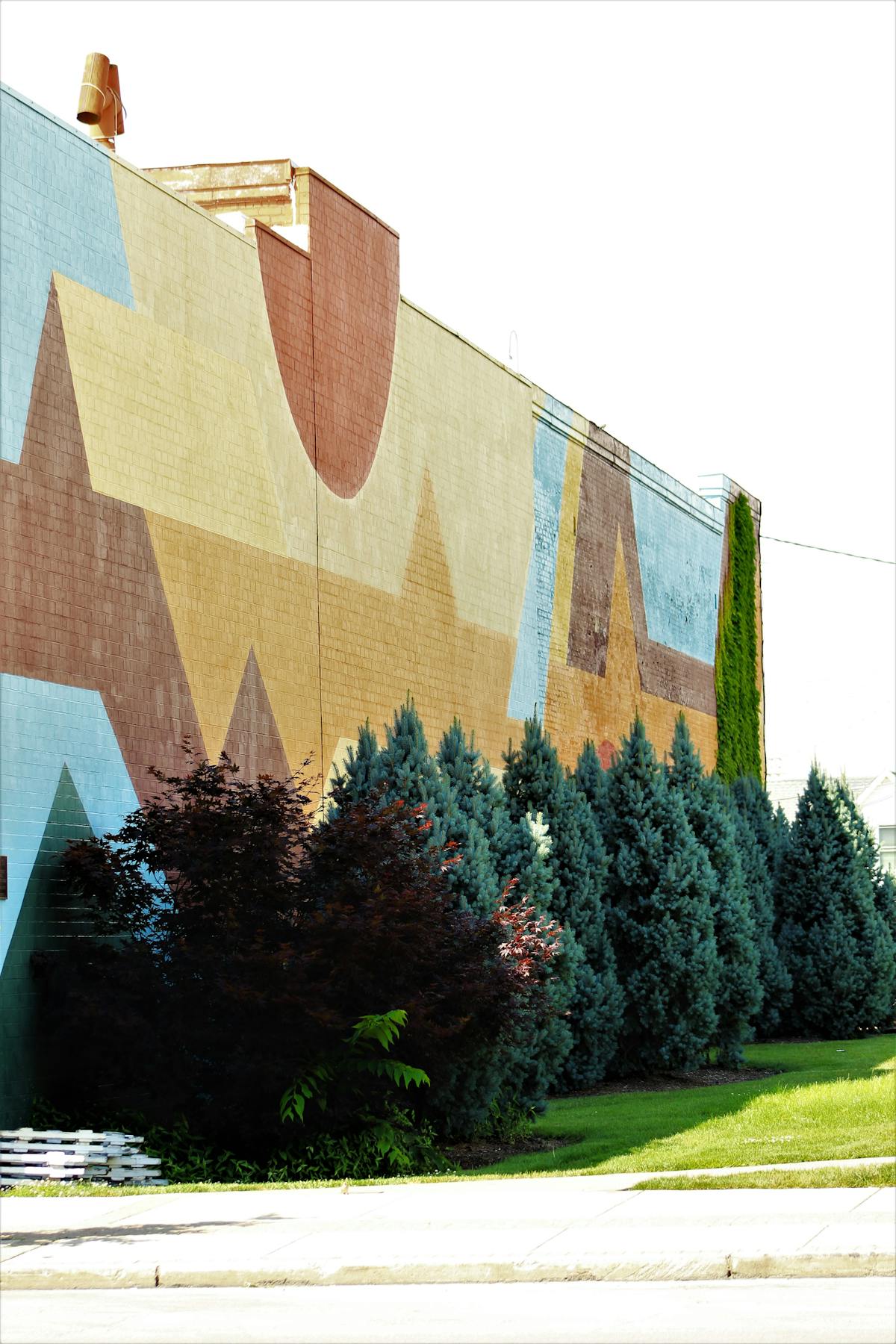 ¿Nicolás, te has convertido en la nueva esquiadora argentina? 🏂