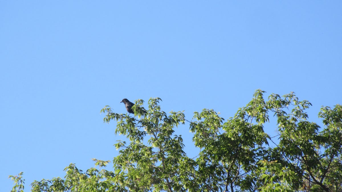 ¿Qué es más peligroso, una pandemia o un presupuesto de go...