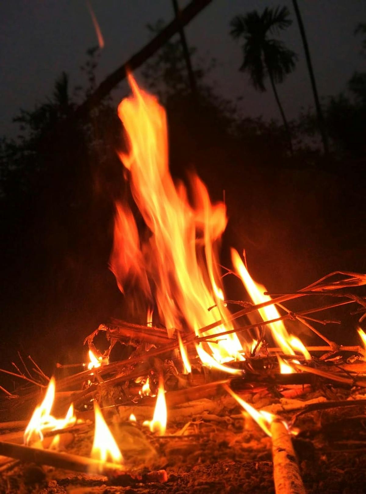 Calafateado a la sombra de la corrupción? ¿Qué onda ahora?...