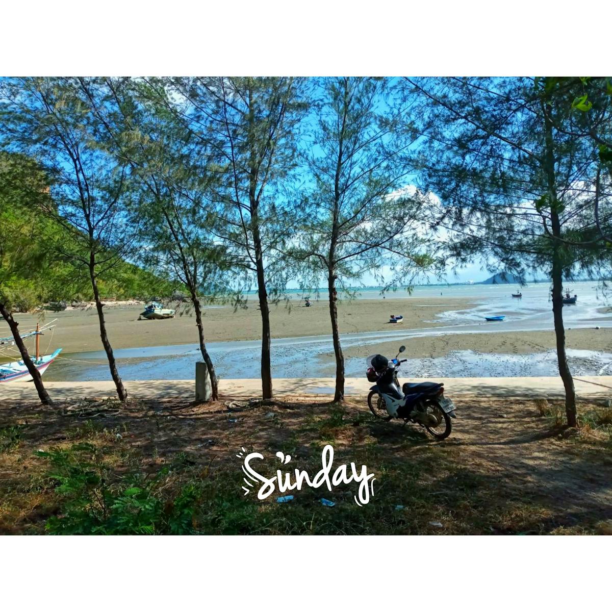 No te pases de la raya, Sheinbaum: ¿500 escrituras y 477 condo...