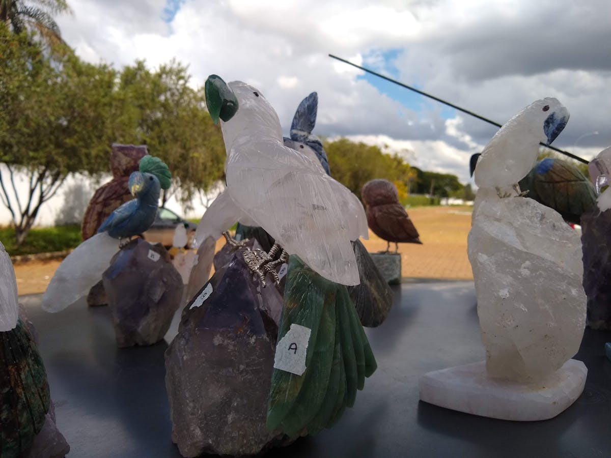 🌨️ ¿Están Preparados, Estados Unidos? Nevadas y Vientos Furios...