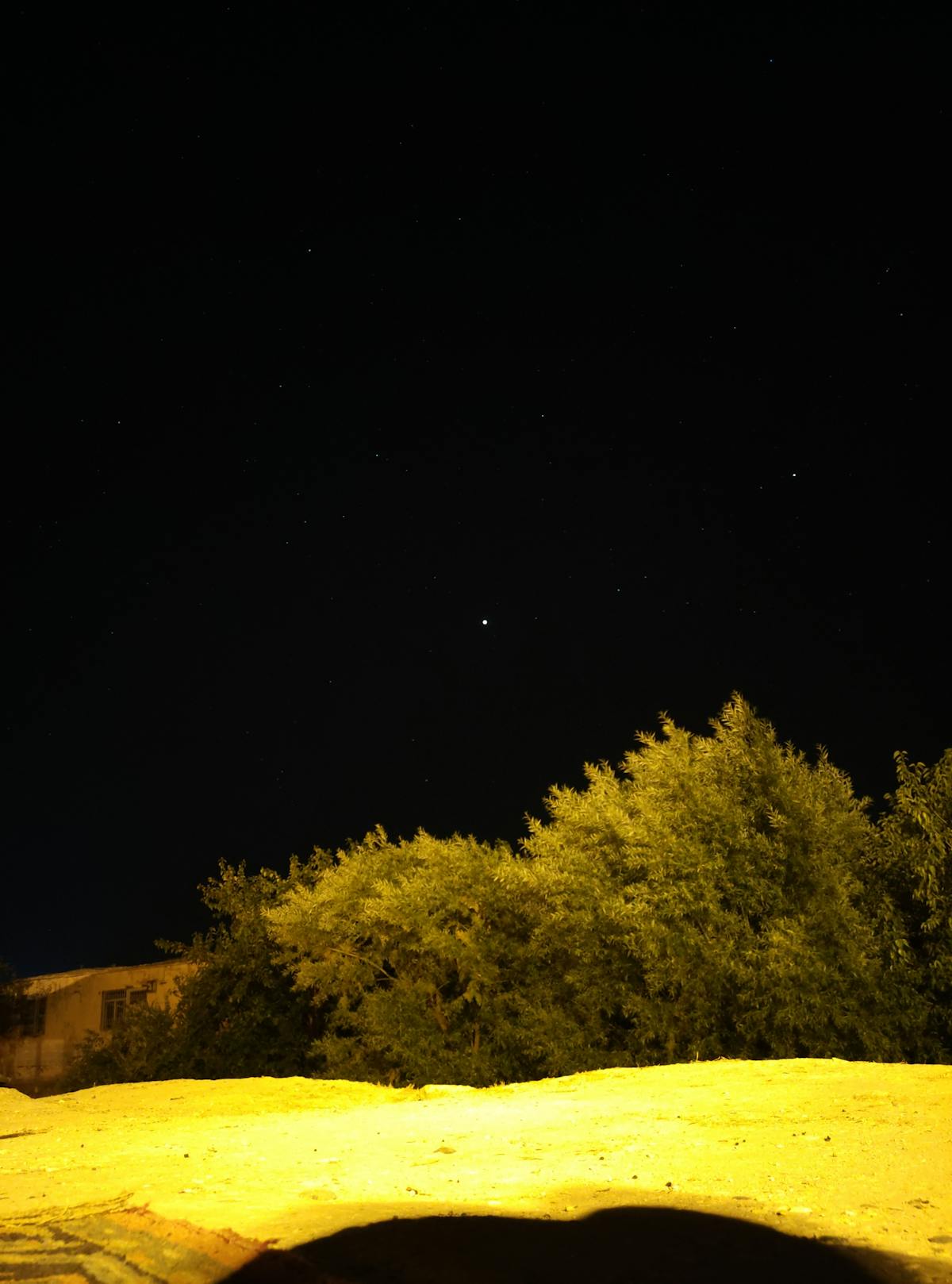 ¿Messi Puede Defenderse de Trump? 🤡📺