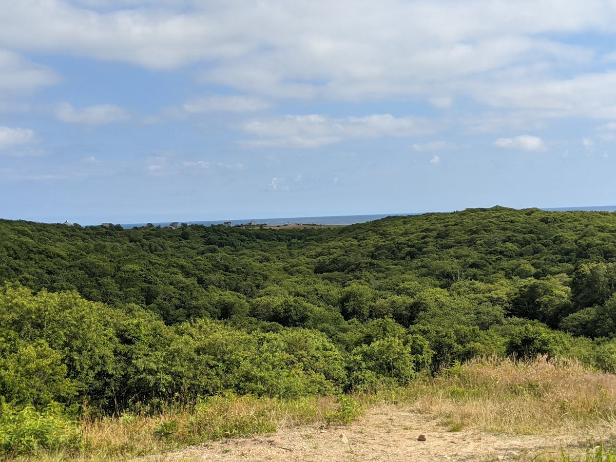 ¿Tú crees que la aforo es solo un consejo? 🚧