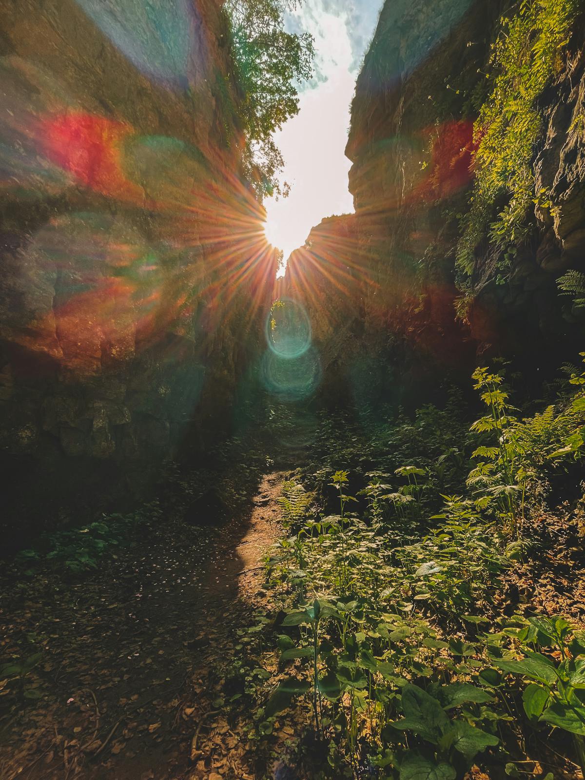 ¿Palacio Nacional Ya Tiene Blockchain o Solo Finge?