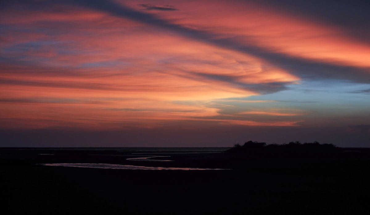 ¿500 mil argentinos con Alzheimer? ¿Cuál es el plan? 🤔