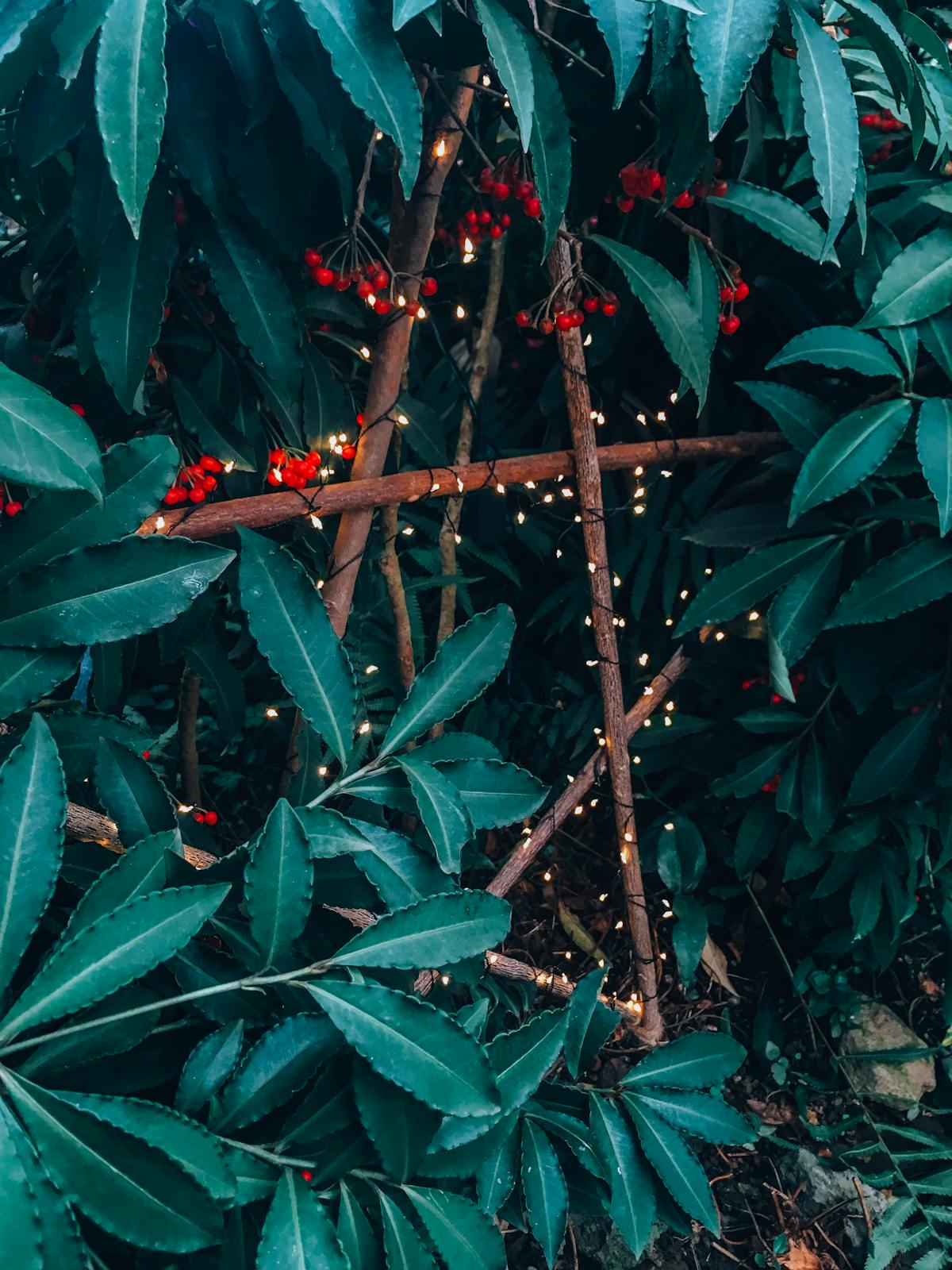 ¿Cuánto cuesta el Rolex que Messi le regaló a Trump? Al ch...