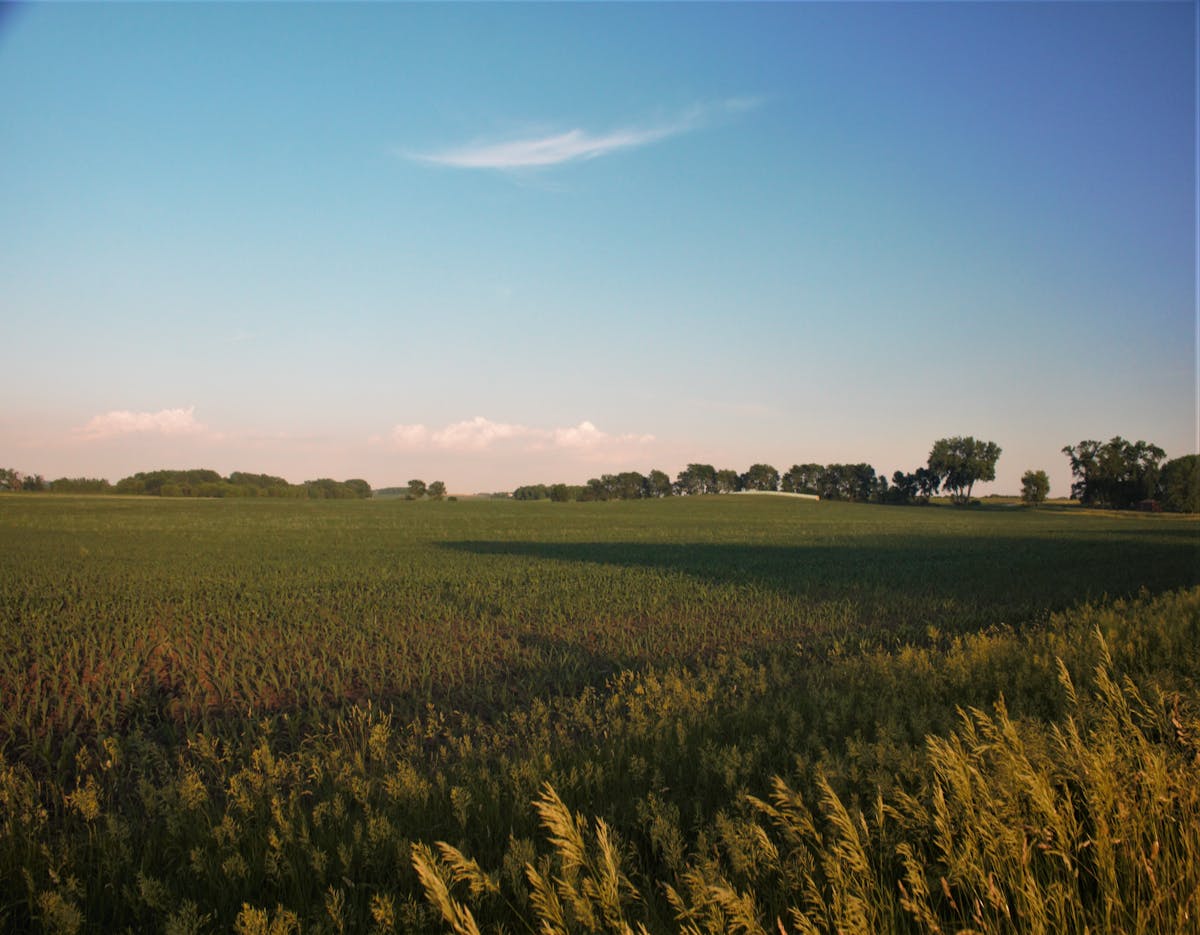 ¿Tu Piel Necesita un Reboot de Cremas?