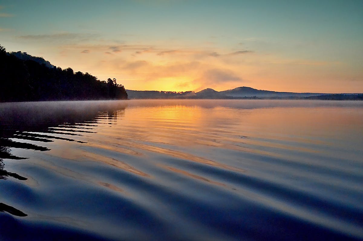 🐒 ¿Vale la pena visitar el Buttonwood Park Zoo si no ves a los...