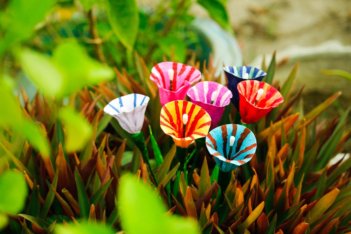¿Tu Evento Fue Mejor con Churros o Donas de San Judas? 🍩