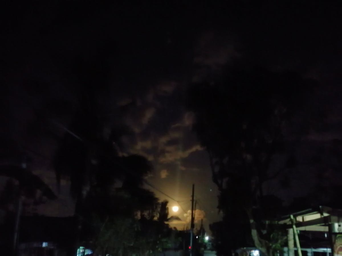 🐶 ¿Tu Perro Ya Te Está Diciendo Adiós? 🐕