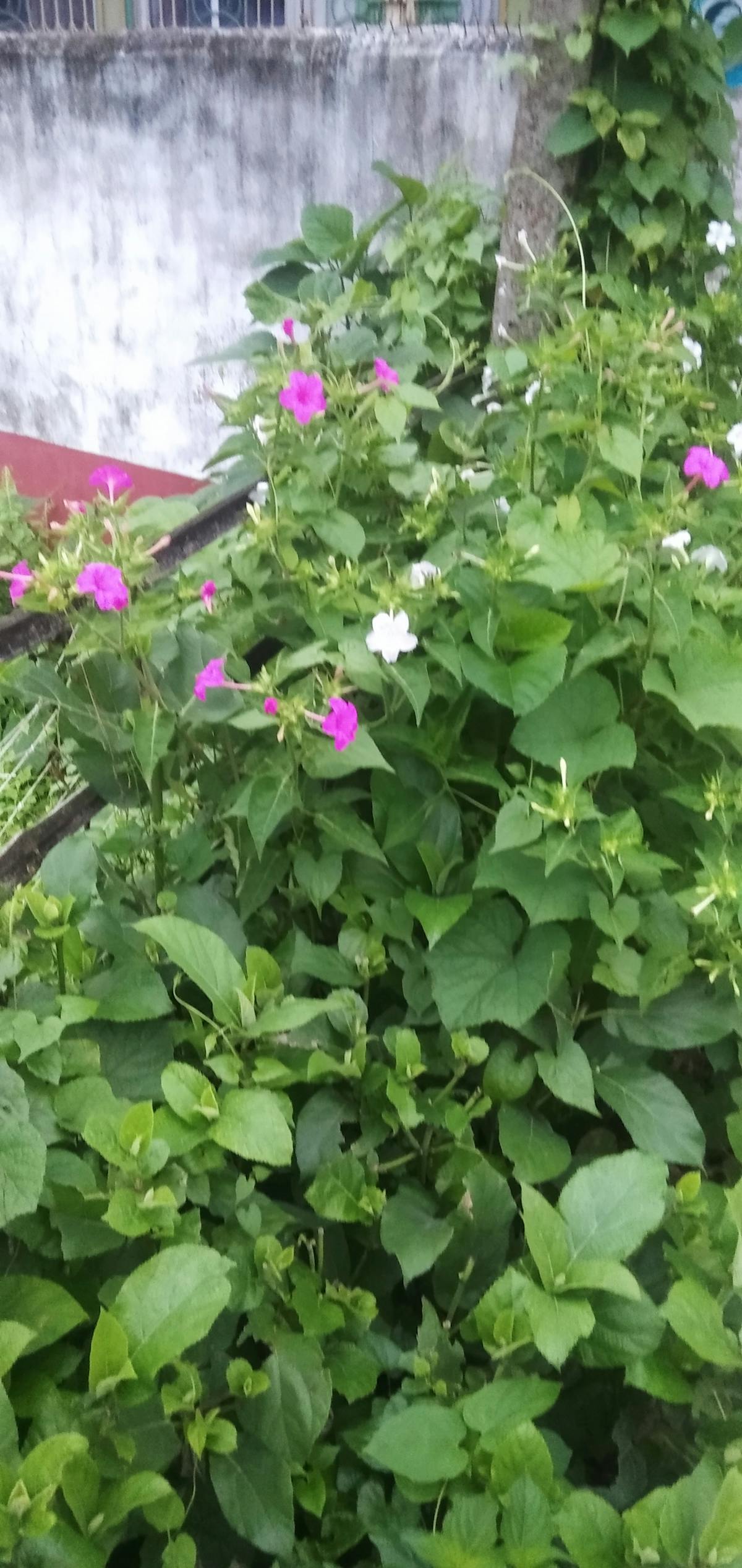 ¿Dios trabaja de una forma misteriosa? No más 🤦‍♂️, aquí t...