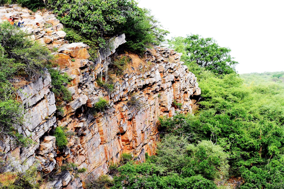 🚨 ¿Denuncia o Censura? Gascon se enfrenta a la oscuridad de Ca...